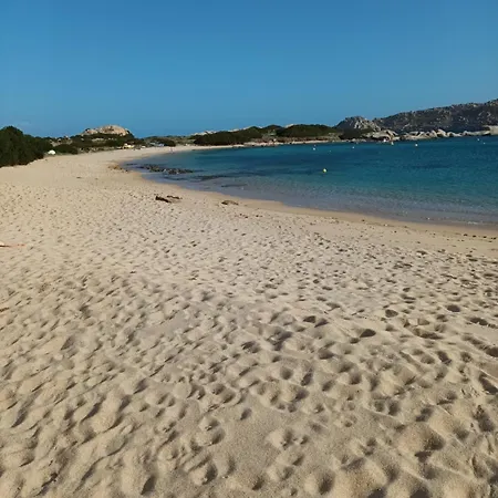 Nausicaa 21 아파트 *